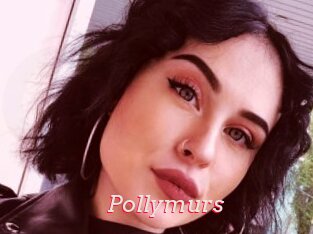 Pollymurs