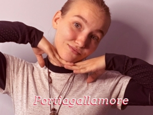 Portiagallamore