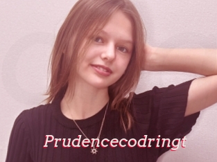 Prudencecodringt