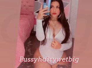 Pussyhairywetbig