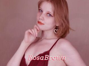 RosaBrown