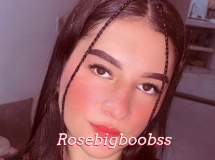 Rosebigboobss