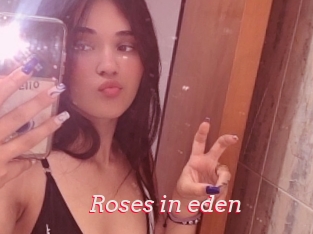 Roses_in_eden