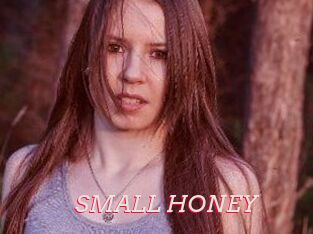 SMALL_HONEY