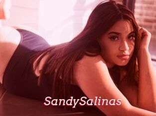 SandySalinas