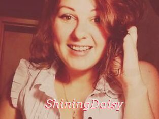 ShiningDaisy