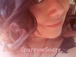 SparrowSoars