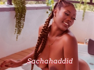 Sachahaddid