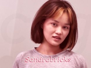 Sandrabricks