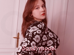 Sandymodel