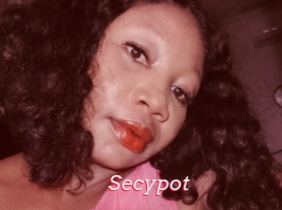 Secypot