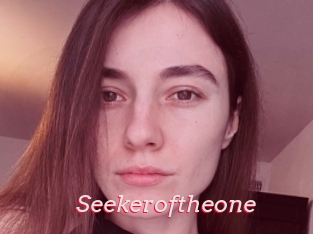 Seekeroftheone