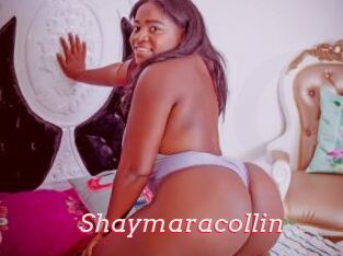 Shaymaracollin