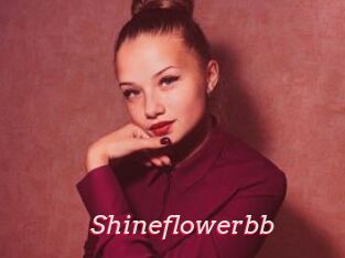 Shineflowerbb