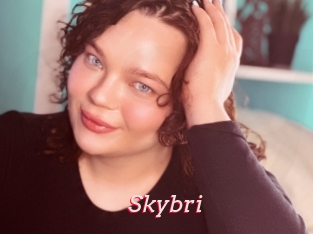 Skybri