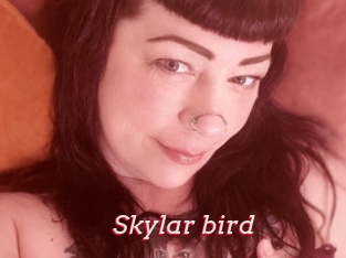 Skylar_bird