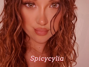 Spicycylia