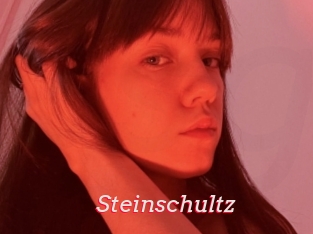 Steinschultz