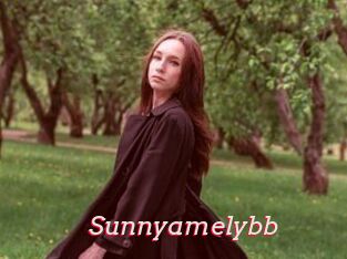 Sunnyamelybb