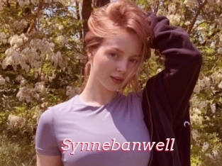 Synnebanwell