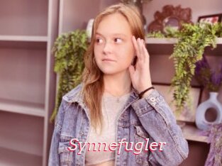 Synnefugler