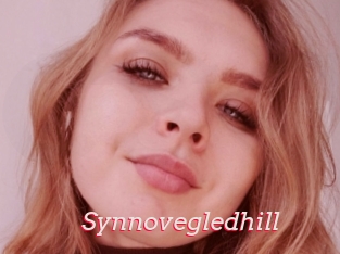 Synnovegledhill