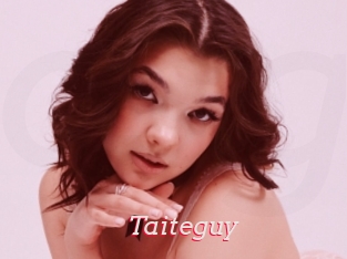 Taiteguy