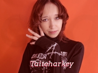 Taiteharkey