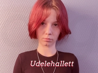 Udelehallett