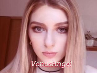 VenusAngel