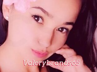 Valerybrands65