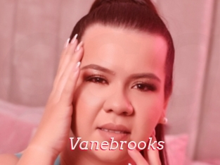 Vanebrooks