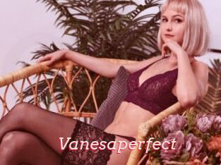 Vanesaperfect