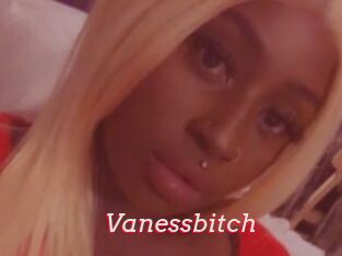 Vanessbitch