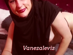 Vanezaleviz