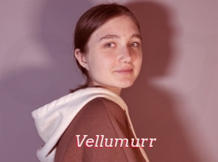 Vellumurr