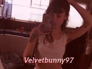 Velvetbunny97