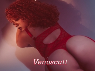 Venuscatt