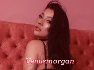 Venusmorgan