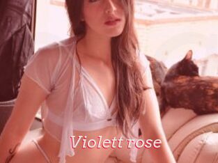 Violett_rose