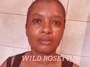 WILD_ROSEY40