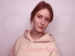 Whitneyfigge