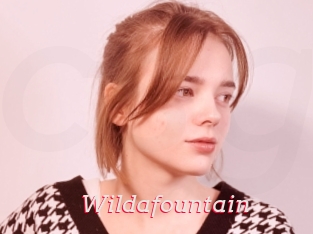 Wildafountain