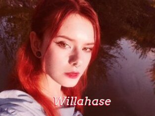 Willahase