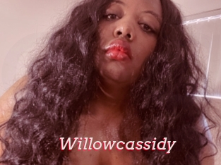 Willowcassidy