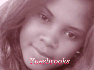 Ynesbrooks